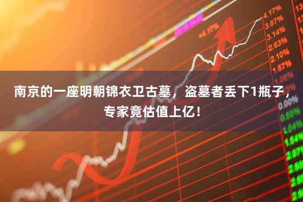南京的一座明朝锦衣卫古墓，盗墓者丢下1瓶子，专家竟估值上亿！
